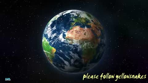 .     y e l l o w s n a k e s       . online show from December 2025 02:25:01 PM