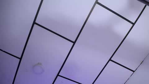 YEM online show from December 2024 05:53:02 PM