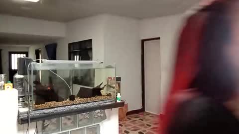 yesika_t online show from January 2026 05:48:01 PM