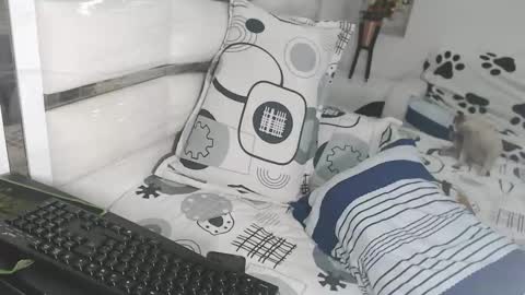 YINAROSS online show from March 2026 09:09:02 PM