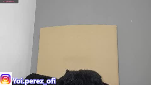 Snapshot of yoi_olimpo chatting on February 2025 12:22:02 PM Yoi Olimpo online show from February 2025 12:22:02 PM