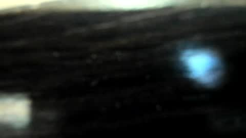 yoonhee_ki online show from April 2026 02:47:01 PM