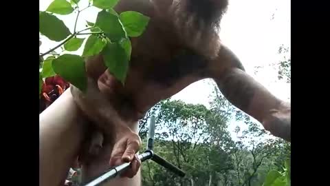 youllfall4me online show from October 2025 03:15:02 AM