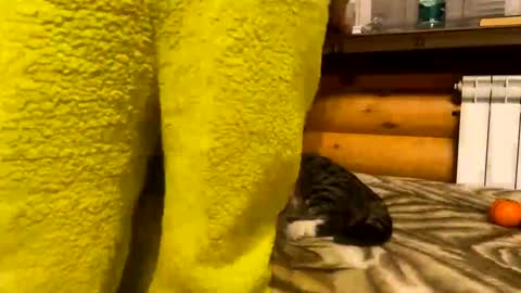 Fansly  online show from December 2024 09:50:02 PM