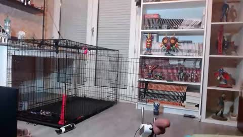 Snapshot of your_sissy_bitch chatting on February 2026 07:10:01 PM Owned by Hell On Heels online show from February 2026 07:10:01 PM