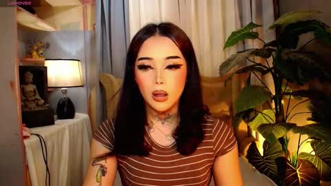 kim online show from November 2025 09:09:02 AM