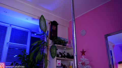 Snapshot of yourbabypearl chatting on January 2025 05:09:02 PM YourBabyPearl online show from January 2025 05:09:02 PM