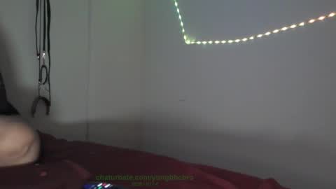 Octavian online show from February 2026 09:37:01 AM