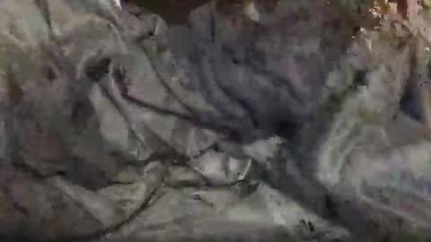 yungin470 online show from February 2026 08:46:01 AM