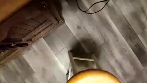 Snapshot of yupthatshim chatting on January 2025 05:35:01 AM yupthatshim online show from January 2025 05:35:01 AM