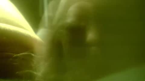 zaboski4 online show from February 2026 07:40:01 AM