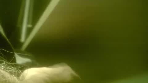 zaboski4 online show from March 2026 08:33:02 AM