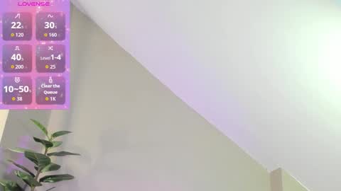 Zary online show from November 2025 11:24:02 AM