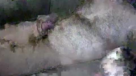 zepincam online show from October 2025 05:18:01 AM