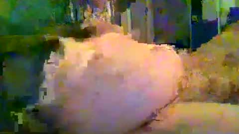 zero0zero123 online show from September 2025 09:53:02 PM