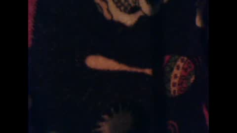 zero online show from February 2025 09:39:01 PM