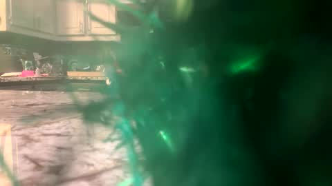 zerokool377 online show from December 2024 10:40:02 AM