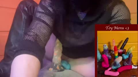 Ziggy online show from January 2025 04:36:02 AM