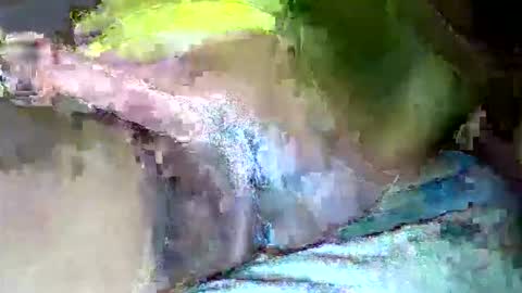 zimzim_ online show from October 2025 11:06:02 PM