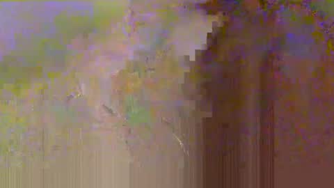 Snapshot of zobrythickock chatting on October 2025 05:25:02 PM zobrythickock online show from October 2025 05:25:02 PM