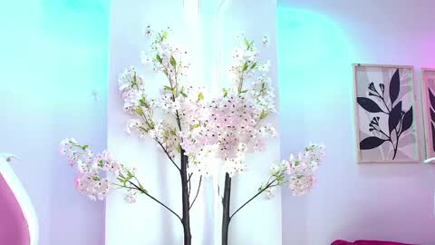 Zoe online show from May 2026 01:46:07 AM