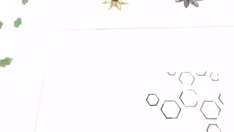 Carolina online show from January 2026 08:25:02 PM