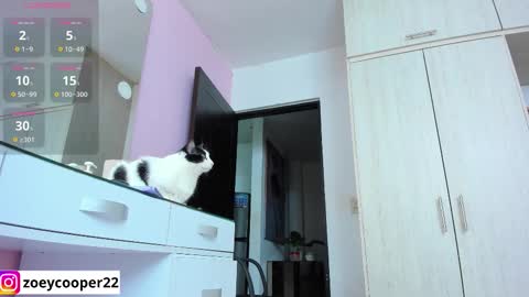 zoey  Independent model online show from November 2025 01:39:02 AM