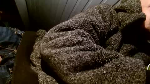 zolexthomas online show from February 2025 07:55:01 PM