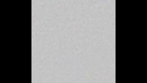 Zophy online show from February 2026 02:49:02 AM