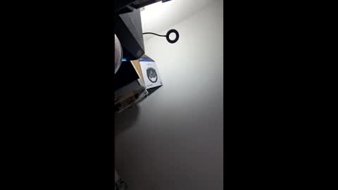 zorrodelavega online show from April 2026 09:16:02 PM