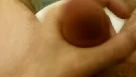 zqporn123 online show from April 2026 03:06:01 PM