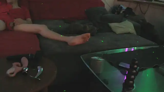 davidgntxxxxx online show from November 2025 08:31:01 PM