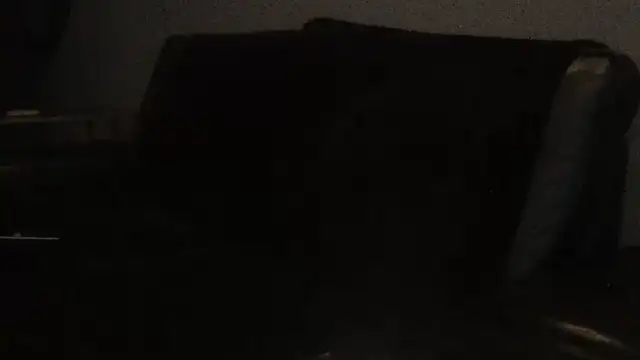 Pup Rush online show from September 2025 12:45:02 AM