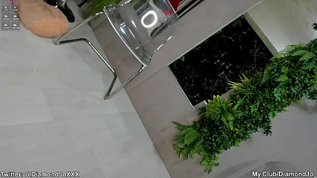 DiamondJo  online show from February 2025 11:55:02 PM