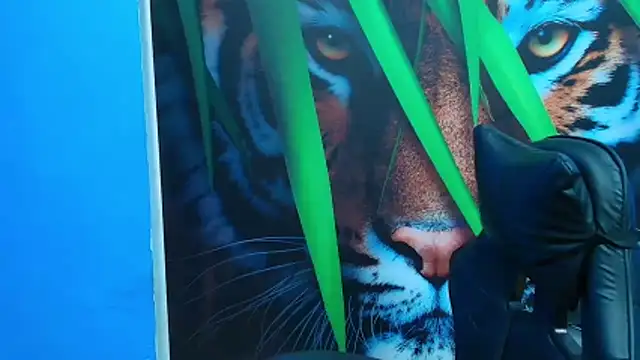 DEIBY BABY online show from January 2026 08:12:01 PM