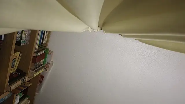 curiosillo83 online show from March 2026 05:06:01 PM