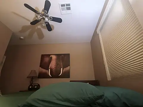 Bwcjoshbanks online show from November 2025 03:12:02 PM