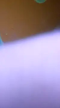 Snapshot of ducicsajsziii chatting on January 2025 05:54:02 AM ducicsajsziii online show from January 2025 05:54:02 AM