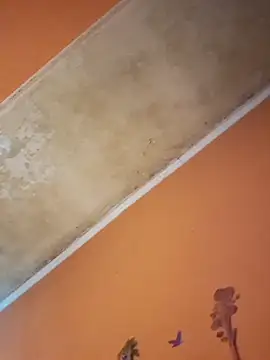 ducicsajsziii online show from December 2025 12:45:02 PM