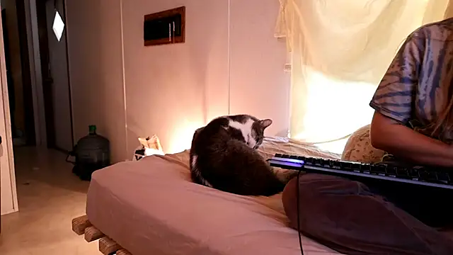 xxpixeyxx online show from April 2026 02:34:01 PM