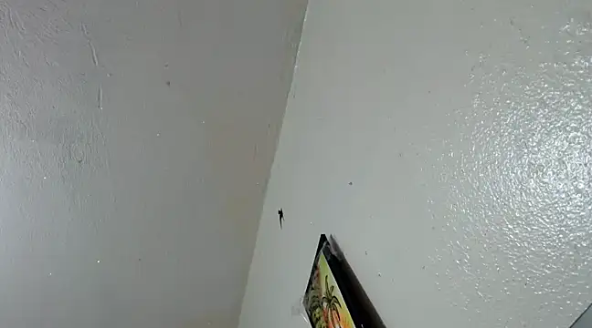 katery wok11 online show from March 2025 07:33:02 AM