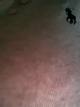 Ruby bear online show from December 2025 03:46:02 AM