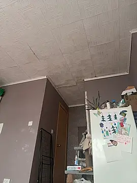 AmmyHot online show from March 2026 05:04:02 AM