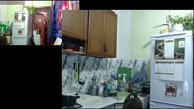 Sakura Green online show from December 2025 03:31:01 PM