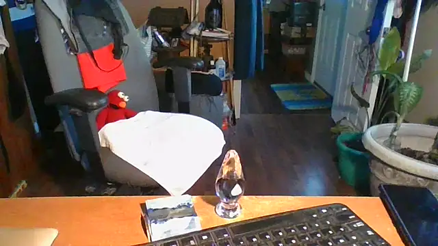 Snapshot of Daremeknot chatting on December 2024 02:25:02 PM Daremeknot online show from December 2024 02:25:02 PM