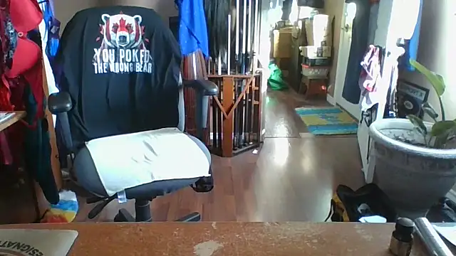 Snapshot of Daremeknot chatting on November 2025 02:41:01 PM Daremeknot online show from November 2025 02:41:01 PM