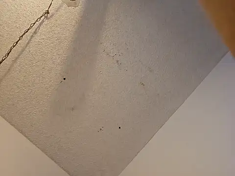 Snapshot of anyway2cum chatting on January 2025 02:59:02 PM anyway2cum online show from January 2025 02:59:02 PM