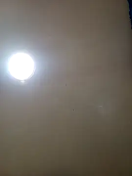 Snapshot of TrainedFinder5 chatting on November 2025 11:24:01 PM TrainedFinder5 online show from November 2025 11:24:01 PM