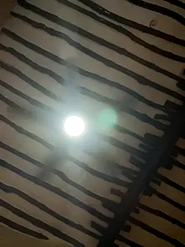 Snapshot of petiteebony_81 chatting on November 2025 06:31:02 PM petiteebony 81 online show from November 2025 06:31:02 PM