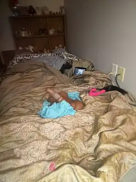 Snapshot of GhostHeartBeauty chatting on December 2024 11:47:01 PM GhostHeartBeauty online show from December 2024 11:47:01 PM